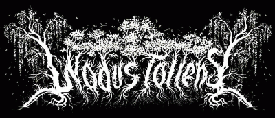logo Nodus Tollens